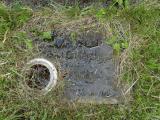 image of grave number 325616